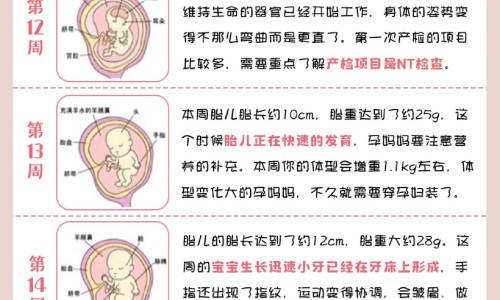 高血压性心脏病吃什么食物好网 :分享高血压心衰吃什么食物最好-高血压心衰吃什么食物最好知识